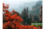 春節(jié)期間：張家界、天子山、金鞭溪自駕車精華精品游