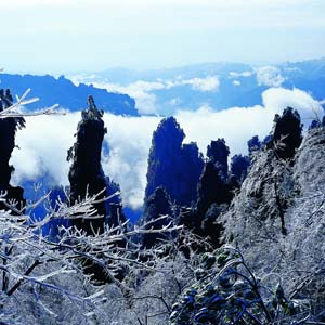 LD線：張家界、天子山、楊家界、猛洞河漂流純玩四日游